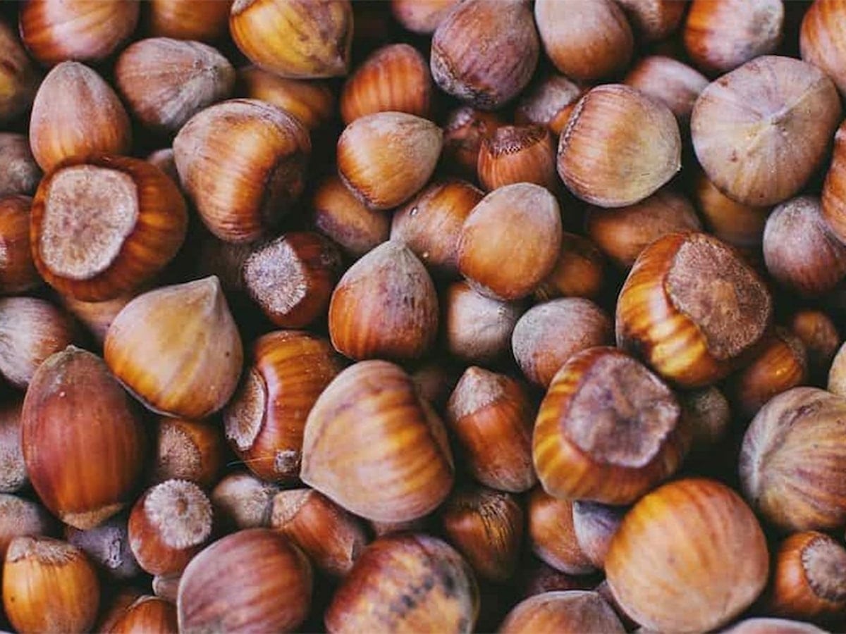 Türk fındığı 122 ülkeye ulaştı