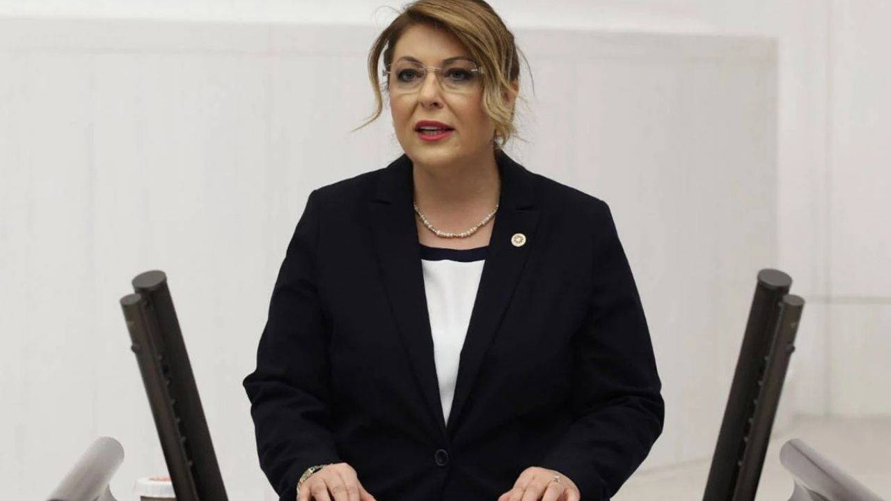 Elvan Işık Gezmiş’ten TBMM’de Maden Tepkisi: “Giresun’un Geleceği Tehlikede”